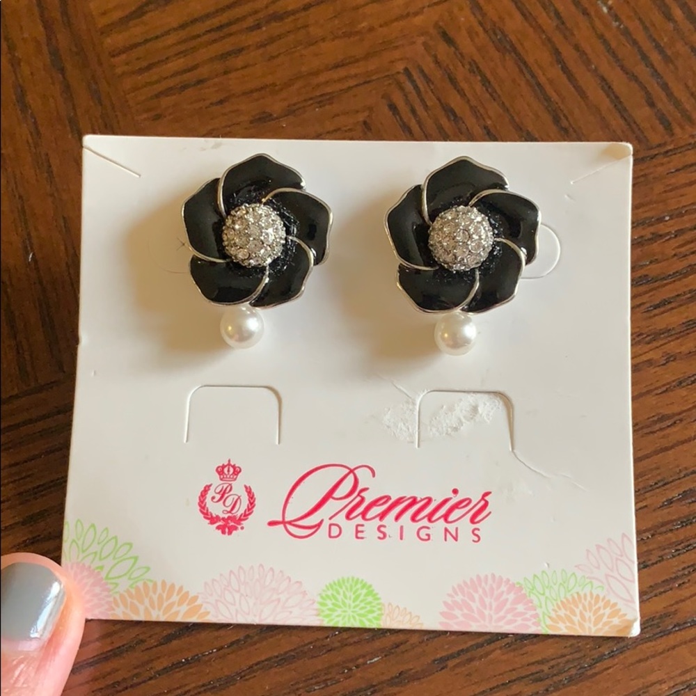 Earrings - interchangeable centers